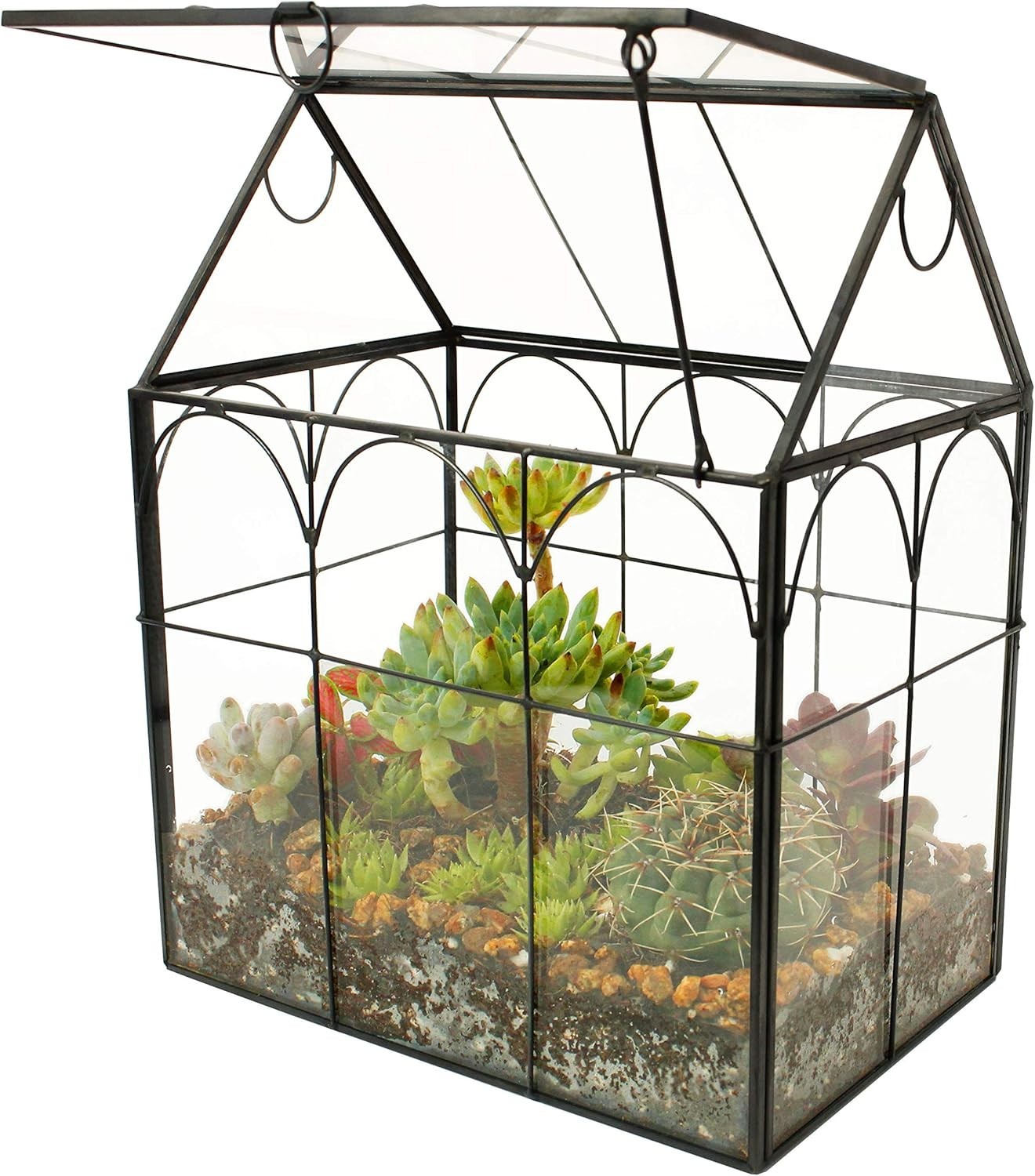Lightweight Hinged Roof Glass Terrarium – Unique Irregular Design for Indoor Use