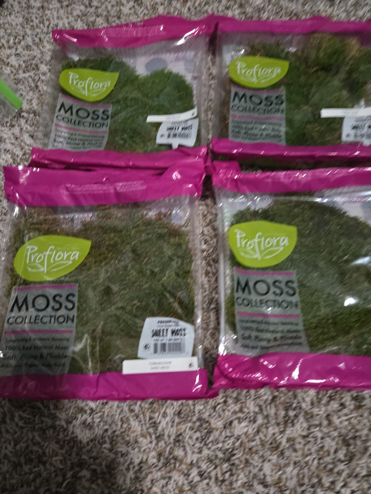Proflora Preserved Sweet Moss Bundle Lot Of 4