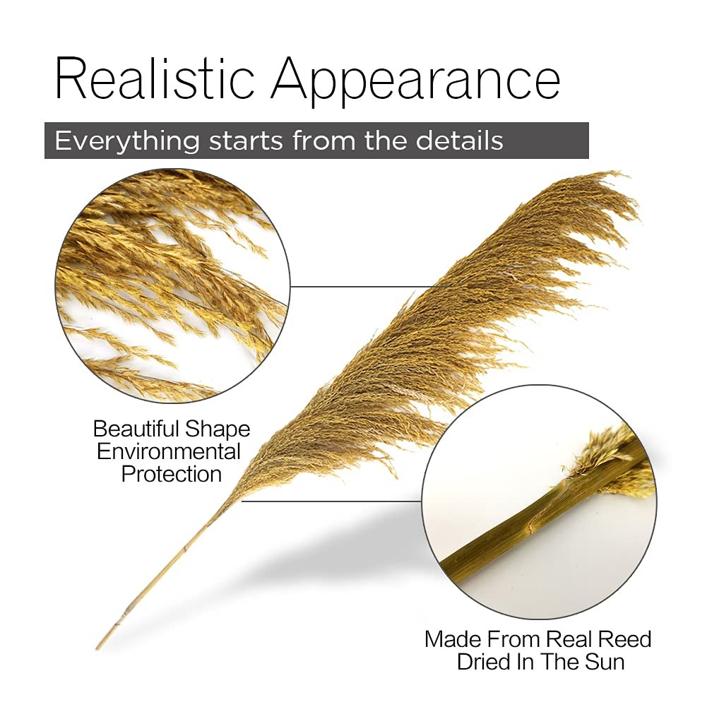 Pampas Grass Decor Tall,Long Pampas, Large Pompas Floral, Elegant Feather Flo…