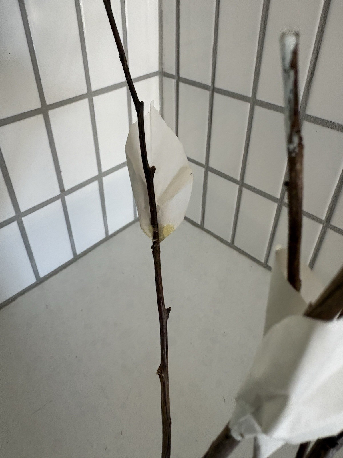 West Elm Twig Floral Display Modern Rustic Holiday 3 Twigs Paper Leaves 16 Inch