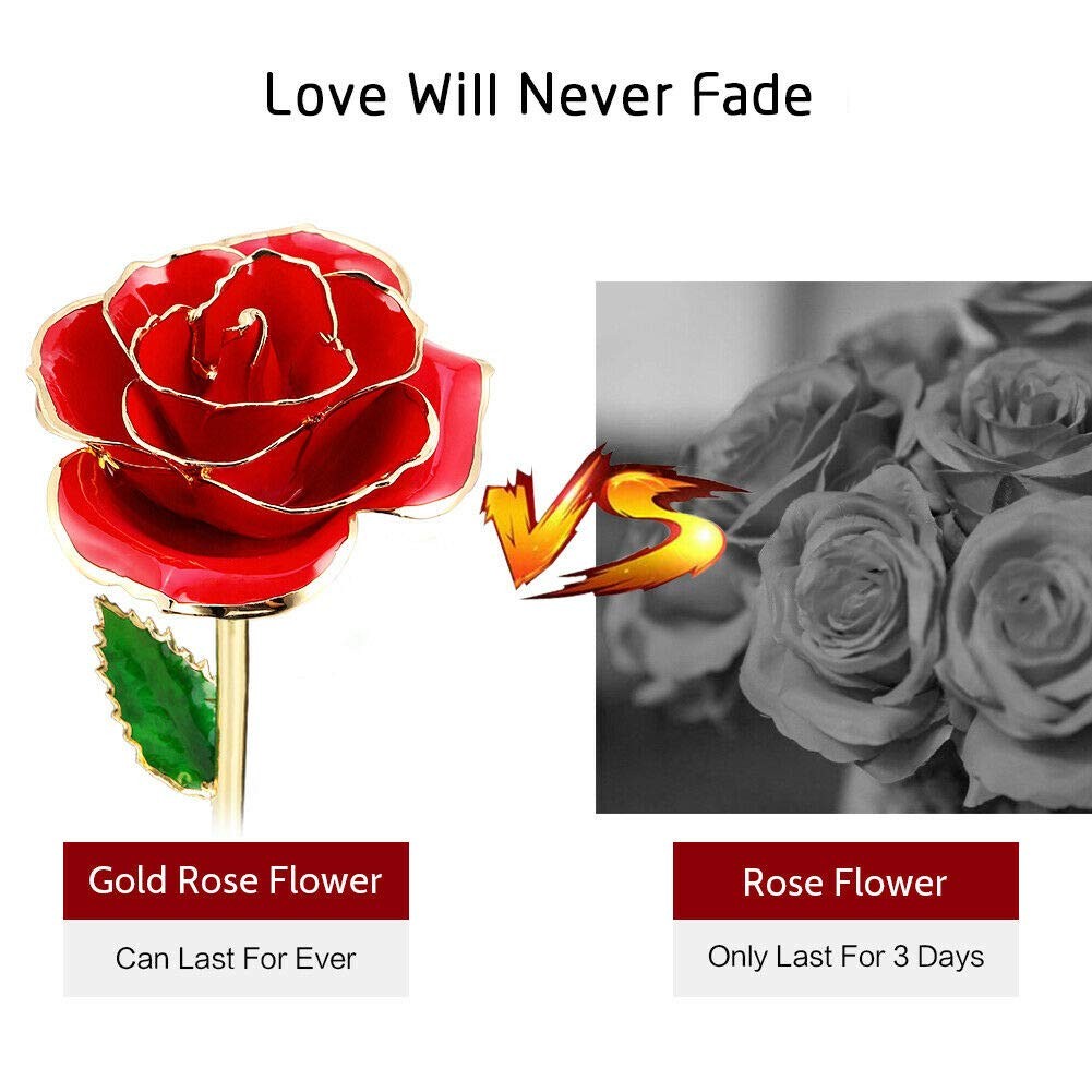 Valentines Day Gifts for Her, Real Rose Dipped in 24K Gold, Preserved Rose Fl…
