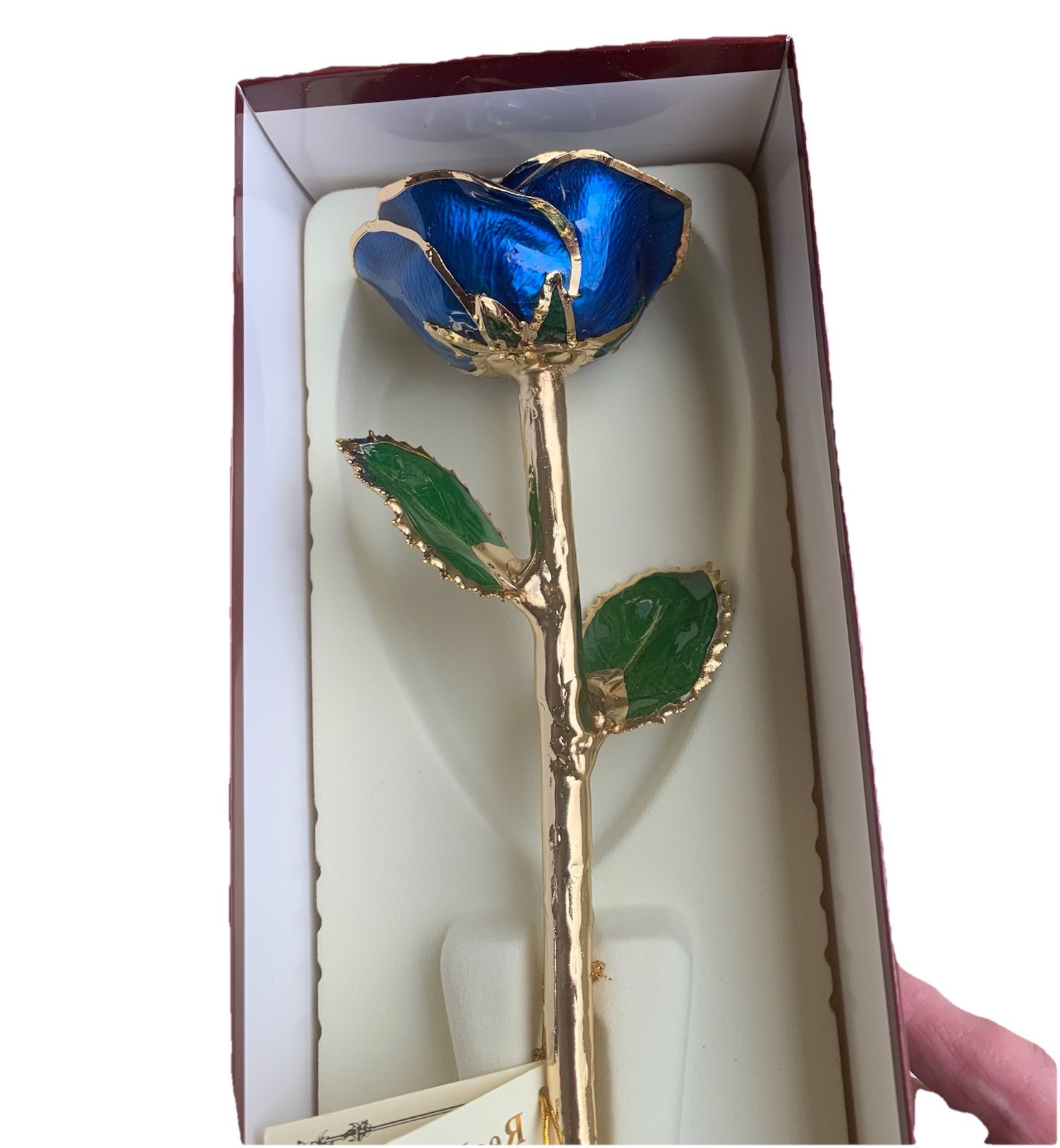 Living Gold Real Rose Dipped in 24K Gold w/ Certificate of Authenticity USA New