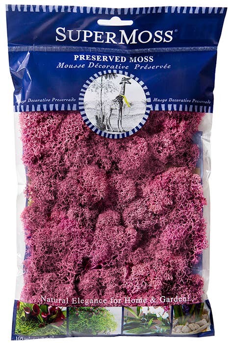 Preserved Reindeer Moss 2oz Bag | Forest, Dusty Rose, White Craft Décor