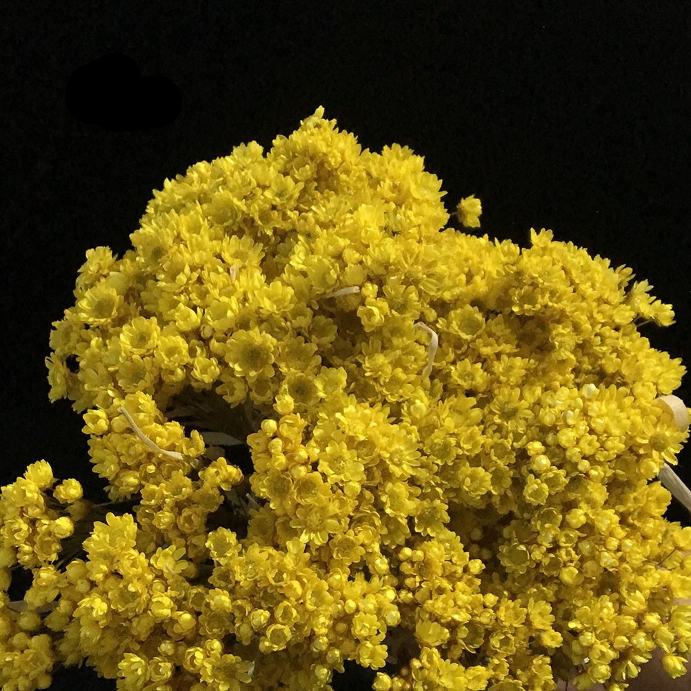100Pcs Handmade Small Star Flower Dried Flowers Mini Daisy Yellow Floral Display