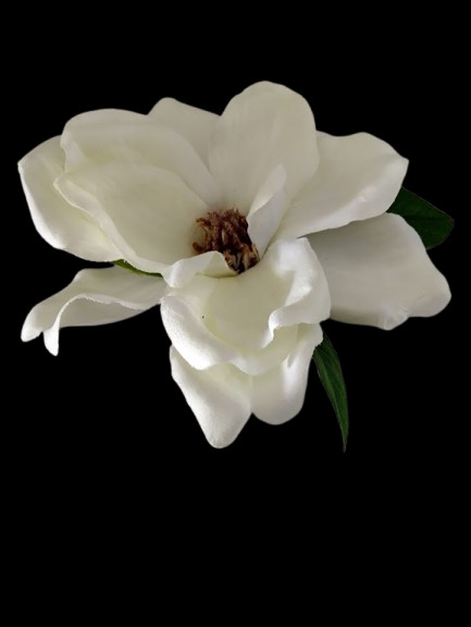 Magnolia table favor decoration CREAM