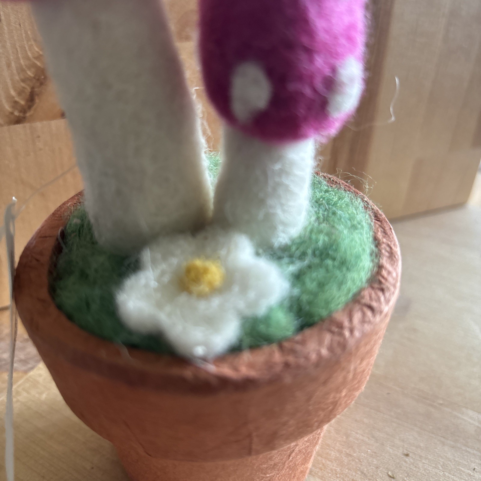 Fairy Mushrooms Wool Potted Super Cute! 8”