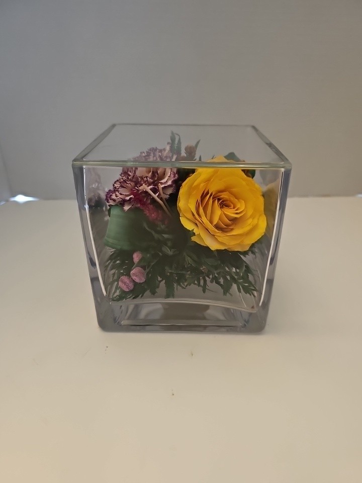 Enclosed Cube Glass Vase W/preserved Flowers Orchid Carnation & Rose