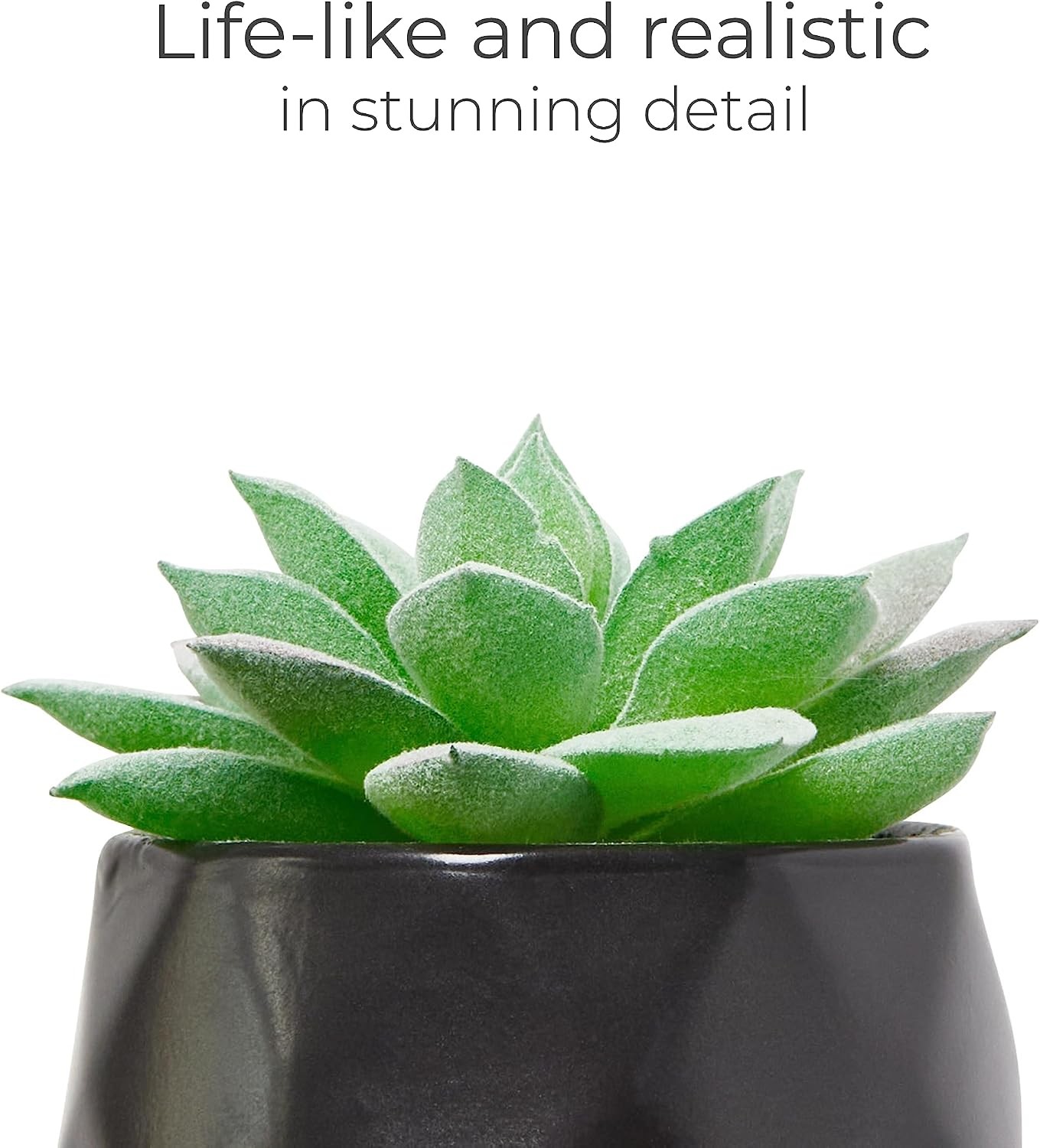 Nordik Set of 4 Desk Plants – Geometric Round Black Pots – Perfect for Bathroom,