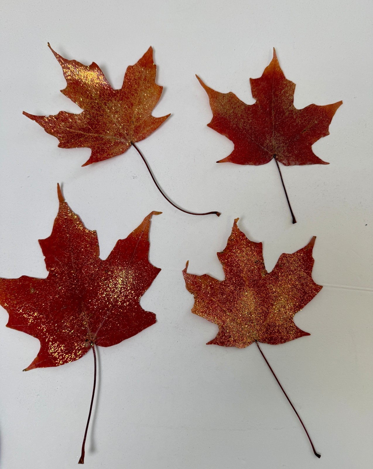 Set of 10 Glitter Maple Leaves – Real Preserved Autumn Leaves