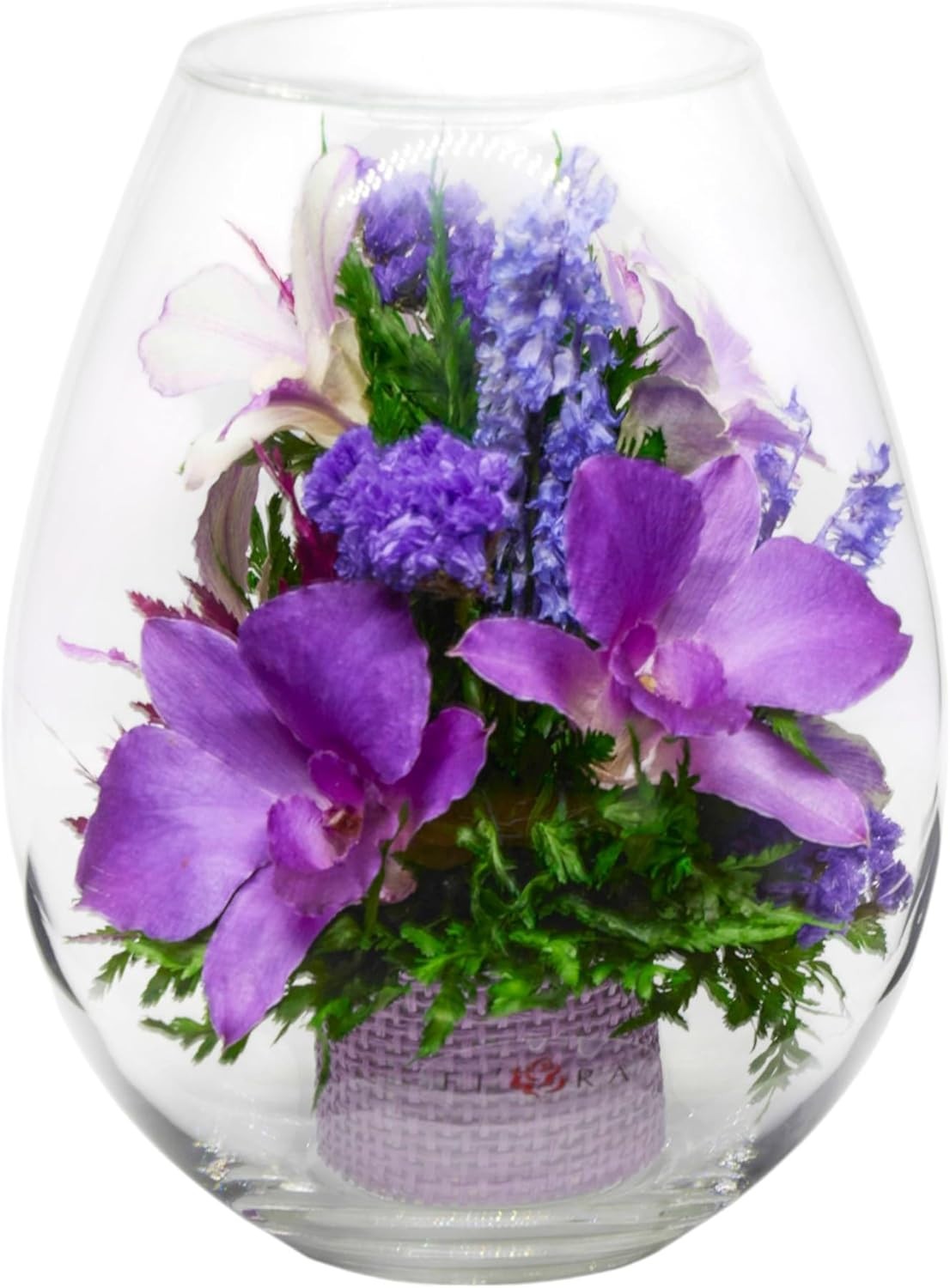 Fiora Flower Elegant Orchid Arrangement in Glass Vase Preserved Real Orchids L
