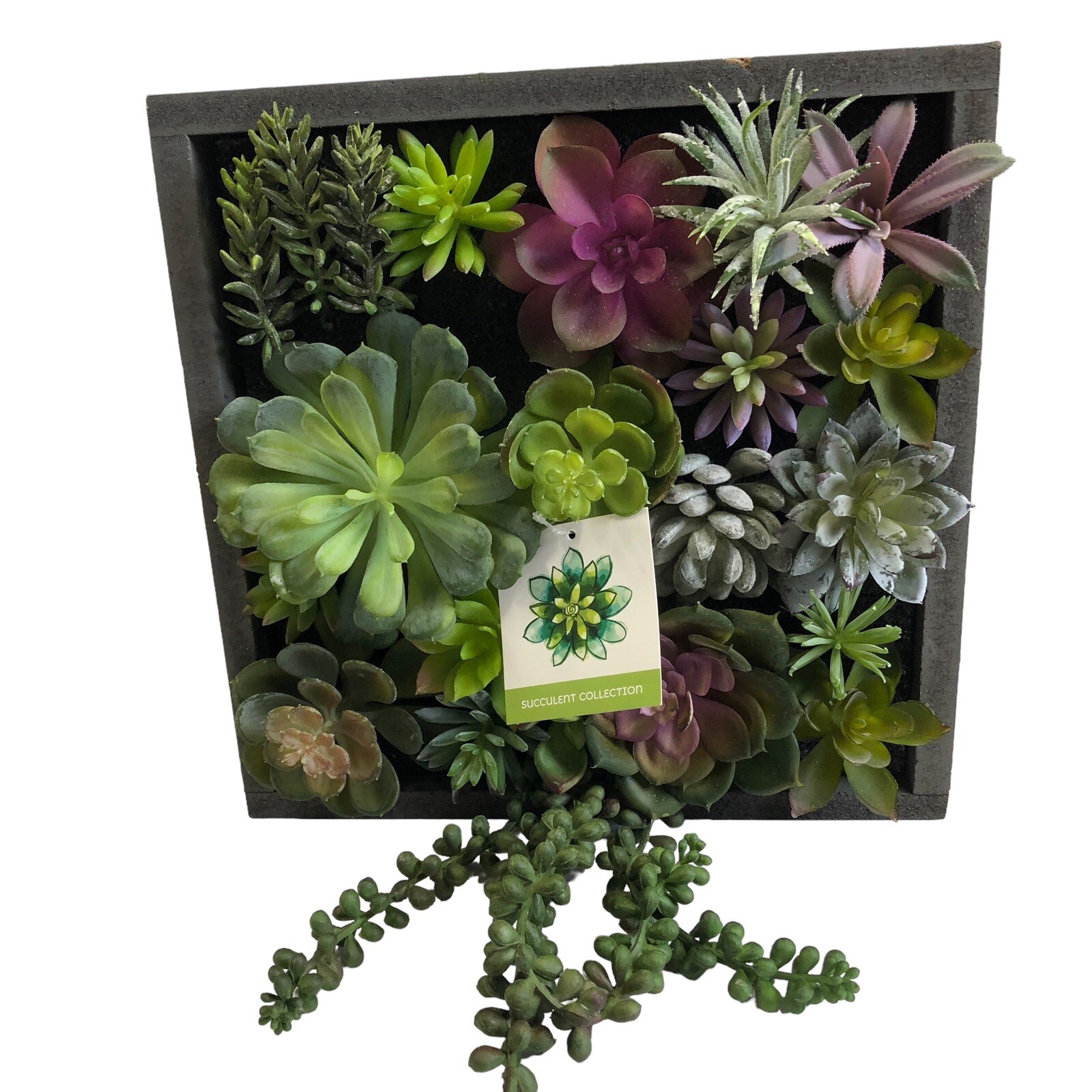 WALL OF FAUX SUCCULENT Cactus in Gray Wood Box Decor Display 12x12x3 inches New
