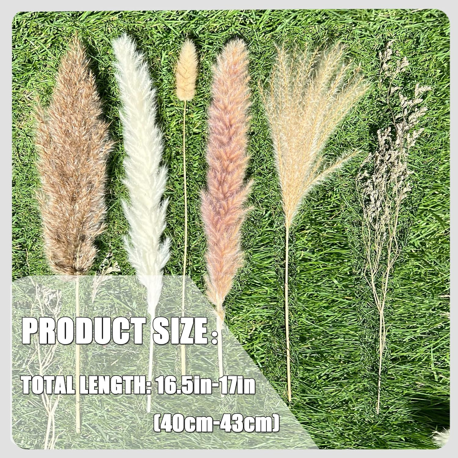 100Pcs Pampas Grass Boho Home Decor 17 Inch Natural Dried Flowers-Pampas Grass C