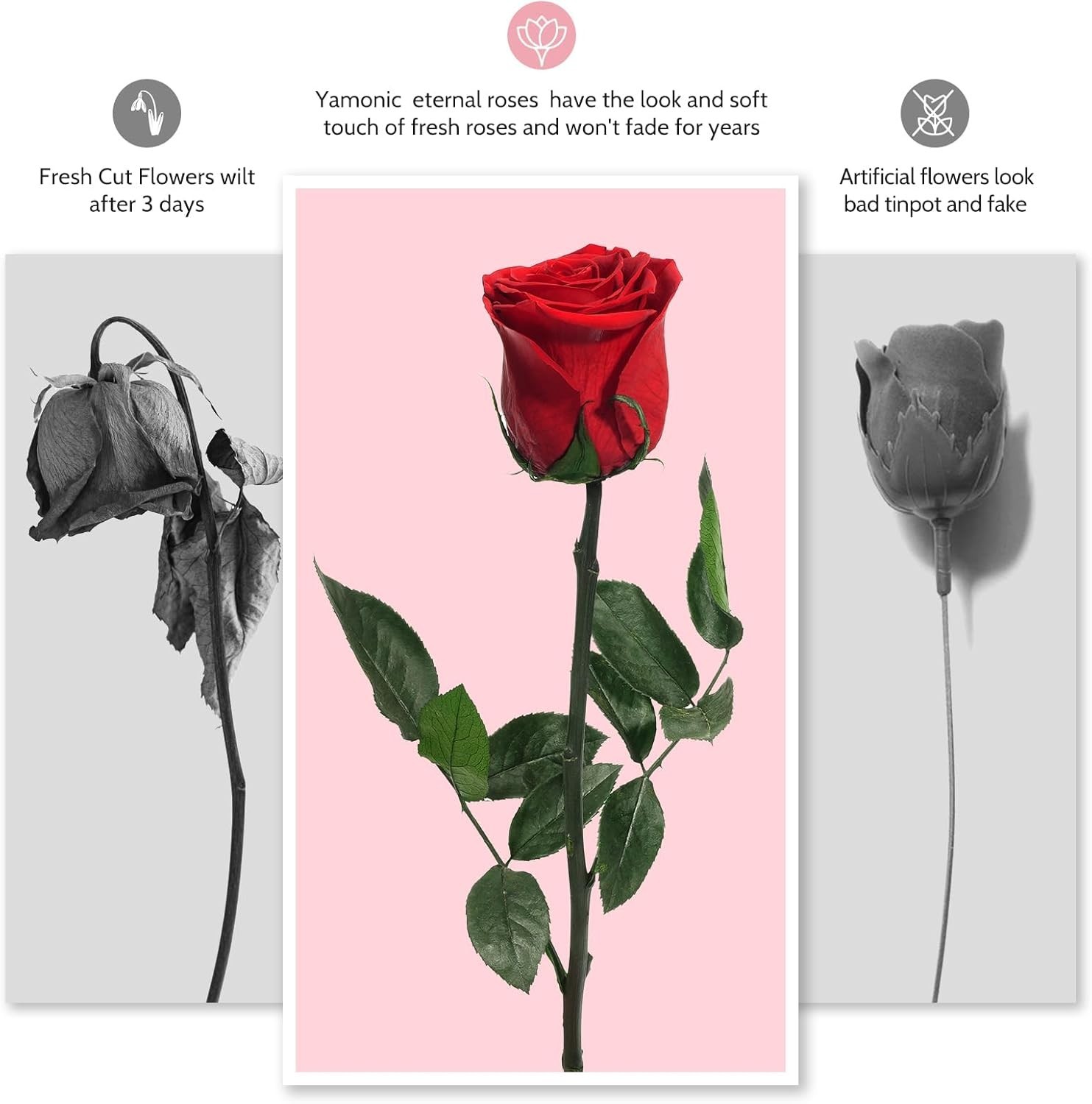 Flowers for Delivery Preserved Roses Flower Gifts for Women Real Roses