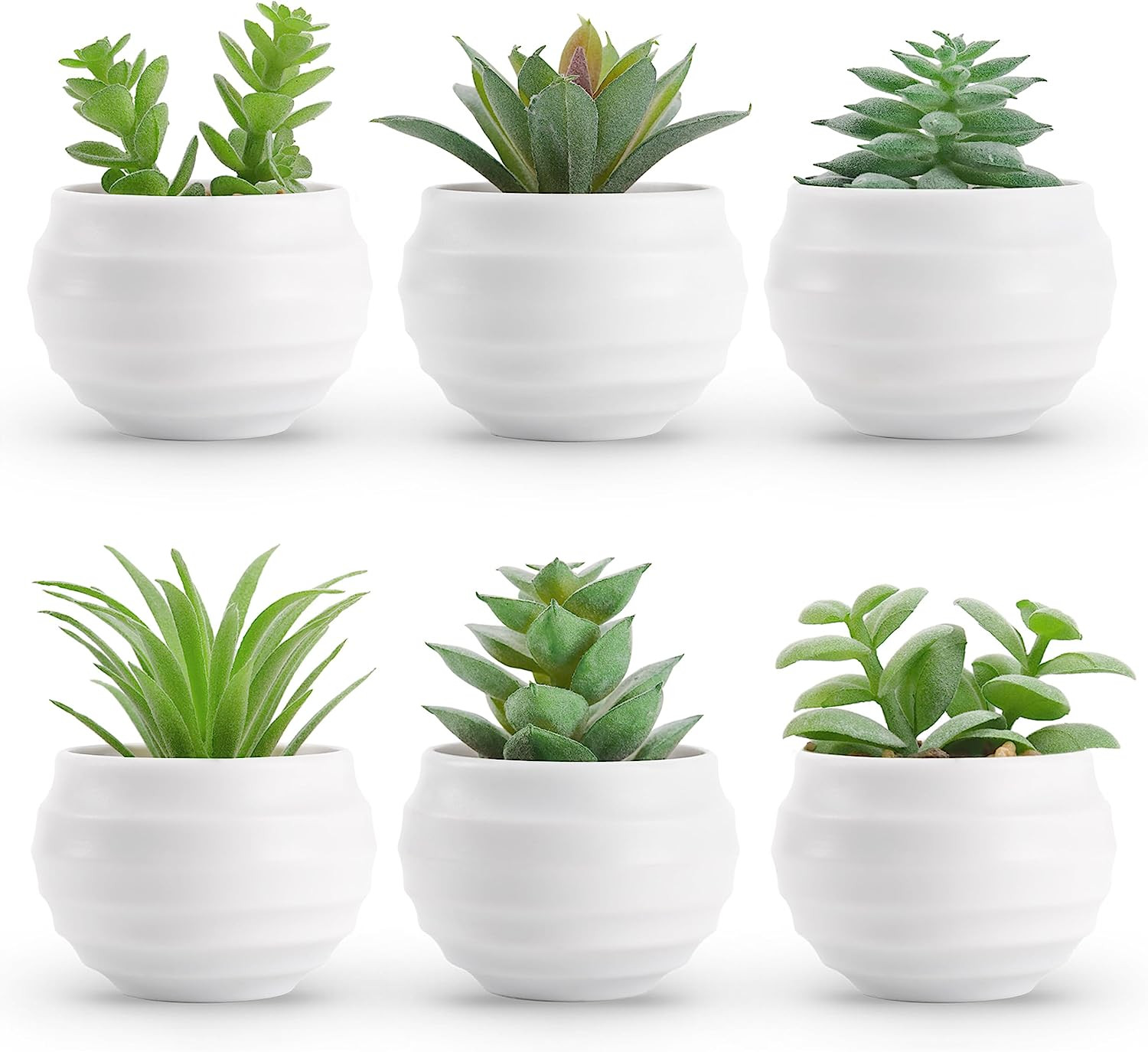 Set of 6 Artificial Succulent Plants in Pot for Bedroom Living Room Office Decor