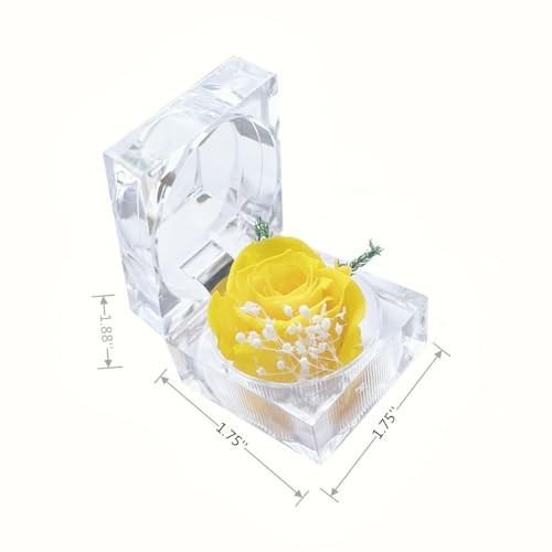 Preserved Rose Real Fresh Rose in Mini Clear Ring Box, Eternal Flower Yellow
