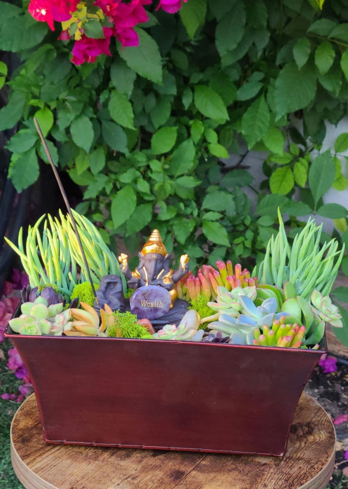 Mini Zen Garden with Natural Succulents + crystals for the Interior of the Home