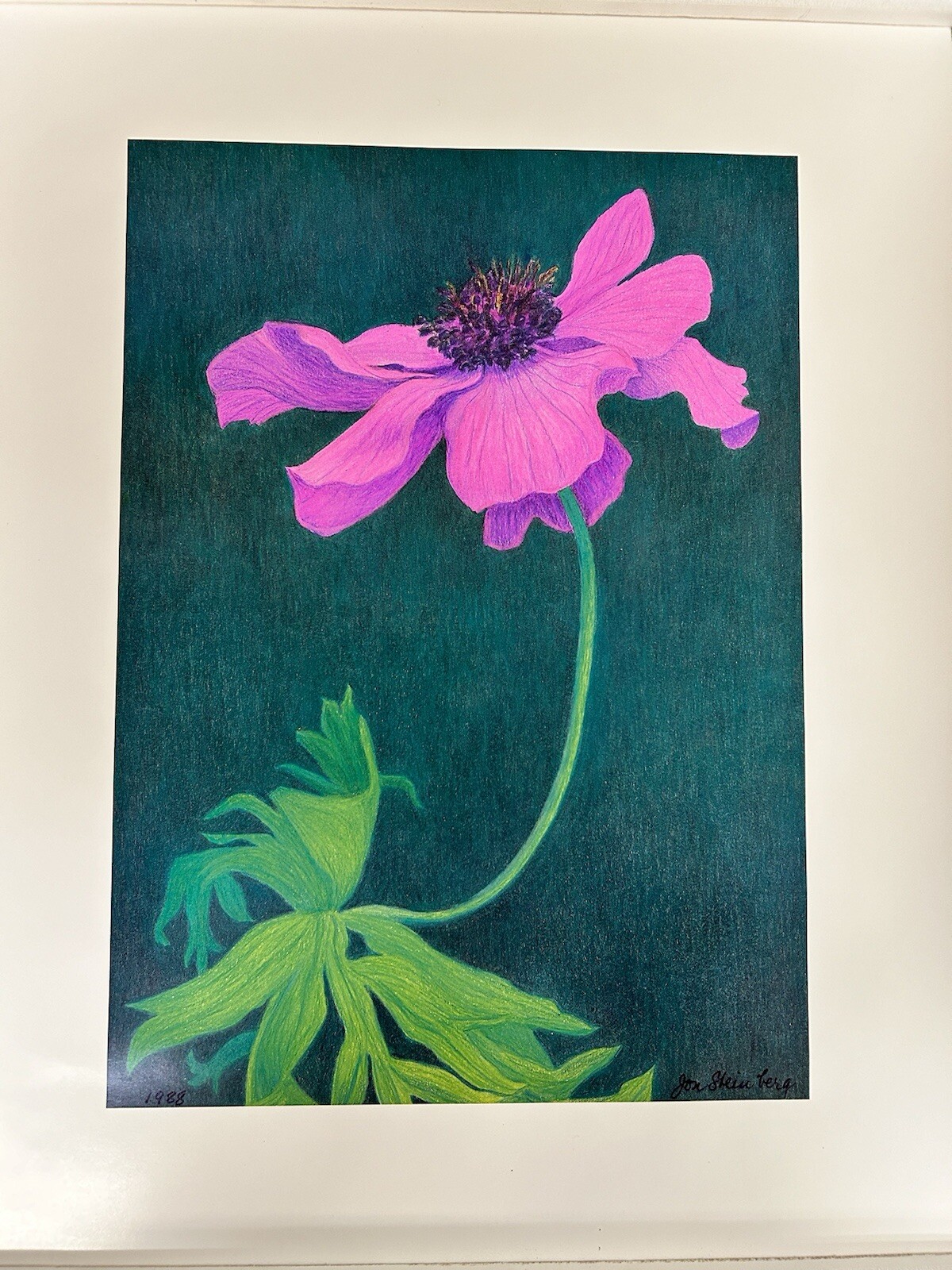 1st Print Of A Purple Sage Flower By Jon Steinburg From New England