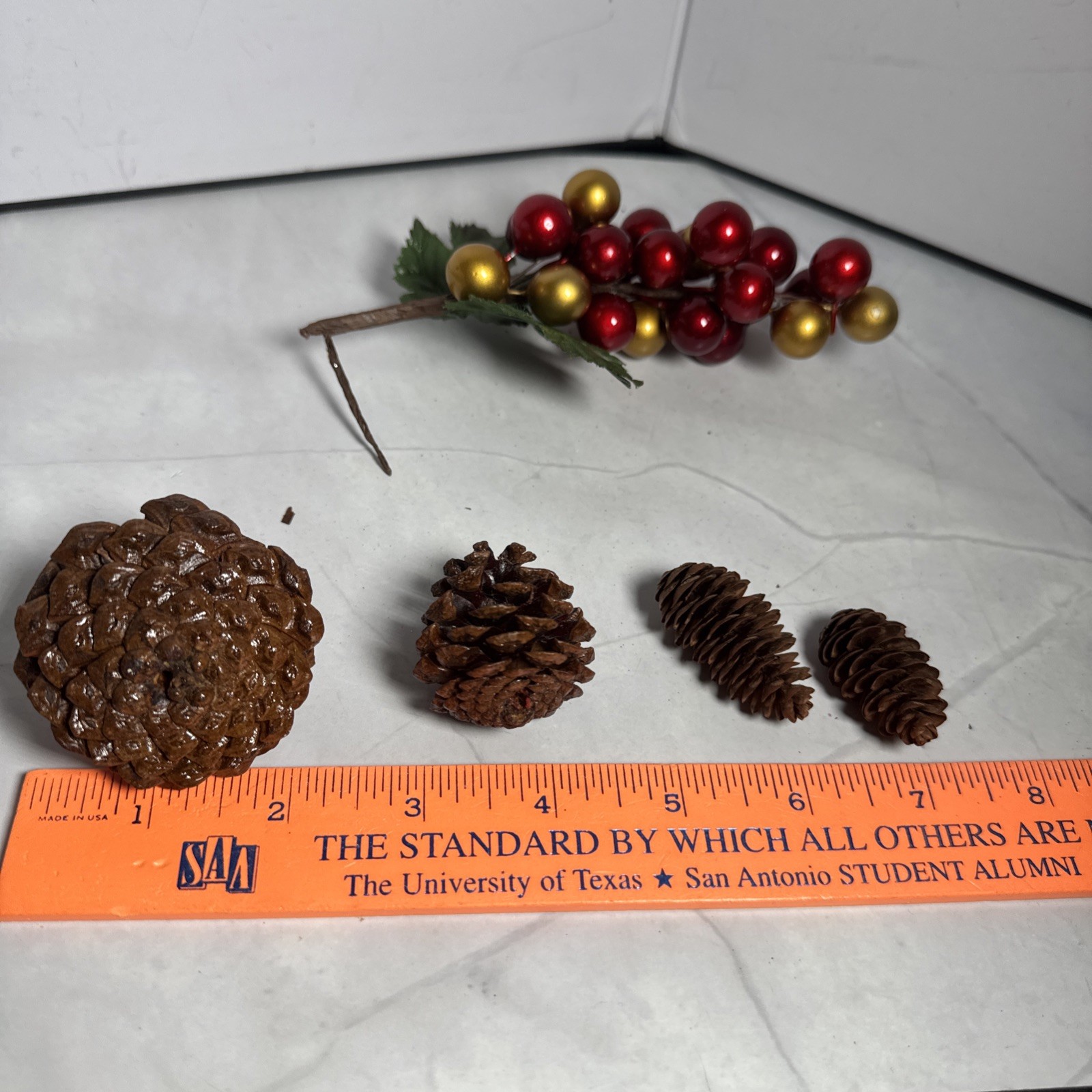 Red And Gold Holly Berry Stem and 4 Pine Cones Individual.