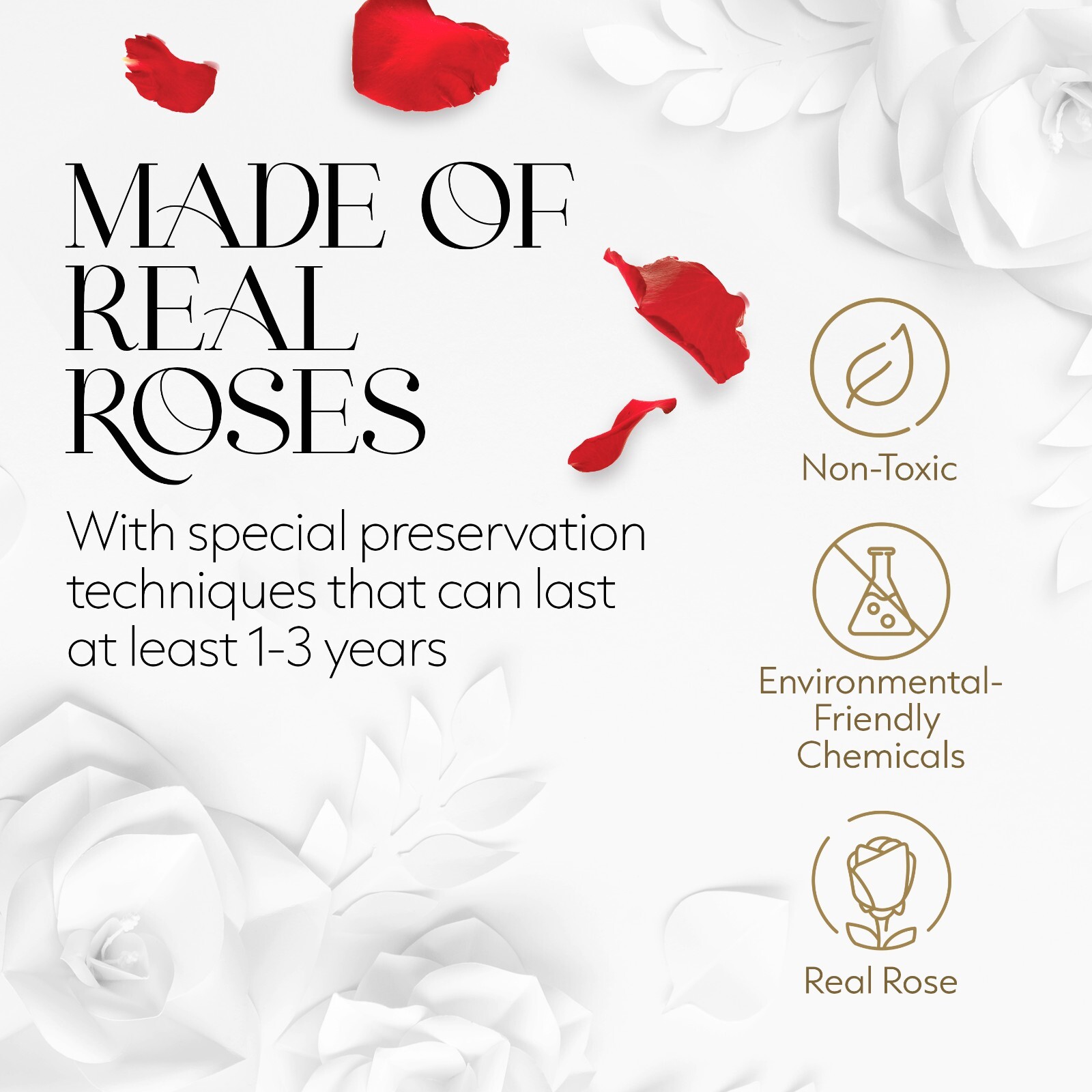 Glamour Boutique Hexagon Single Forever Real Rose – Preserved Roses in a Box
