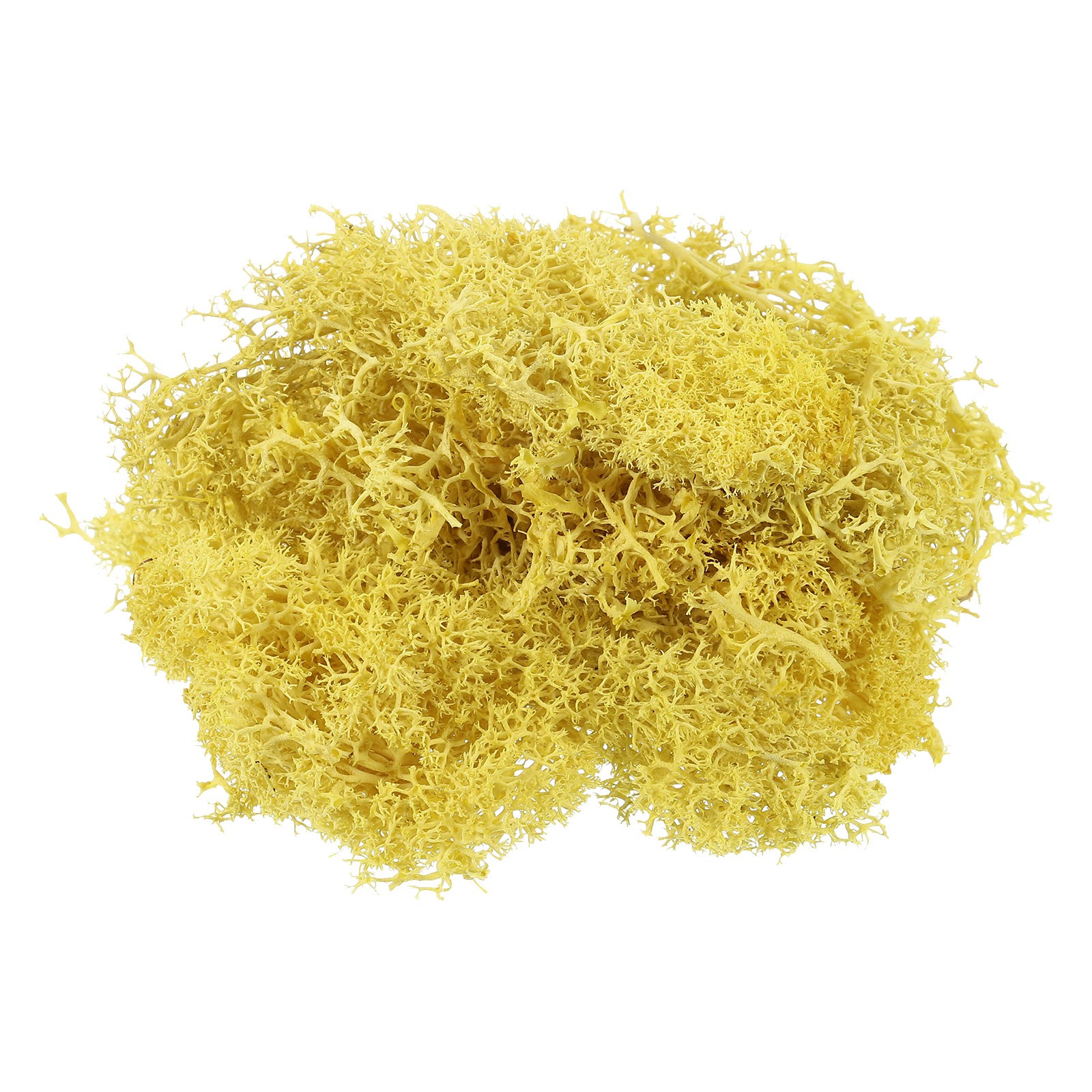 7 OZ Fake Moss, Preserved Decorative Moss with Box for Potted Plants, Yellow