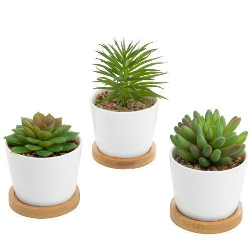 Set of 3 Artificial Succulent Plants in White Ceramic Pots with Bamboo Saucers
