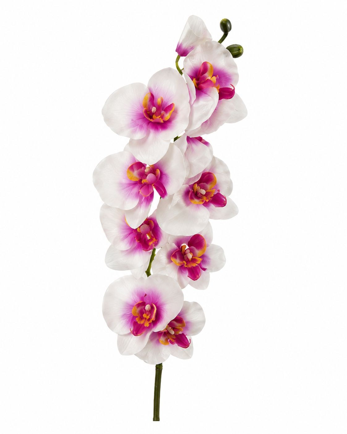 Artificial Silk White Orchid Stem 25 Inch Faux Phalaenopsis Flower Wedding Decor