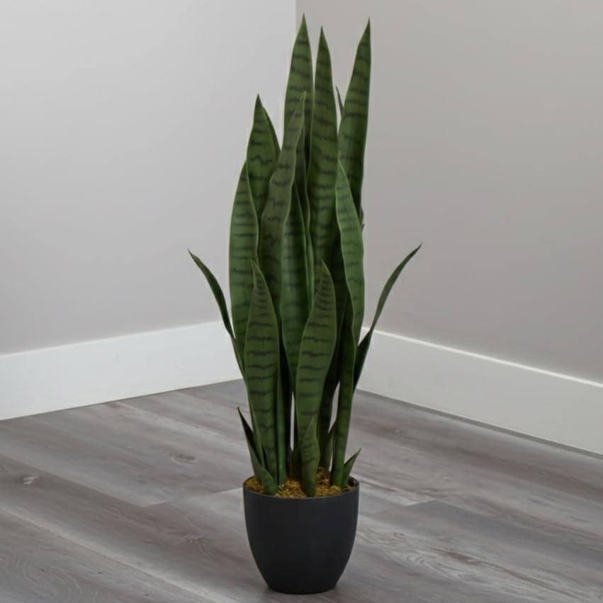 Versatile 35 Inch Sansevieria Plant for Home or Office – Black Planter Included