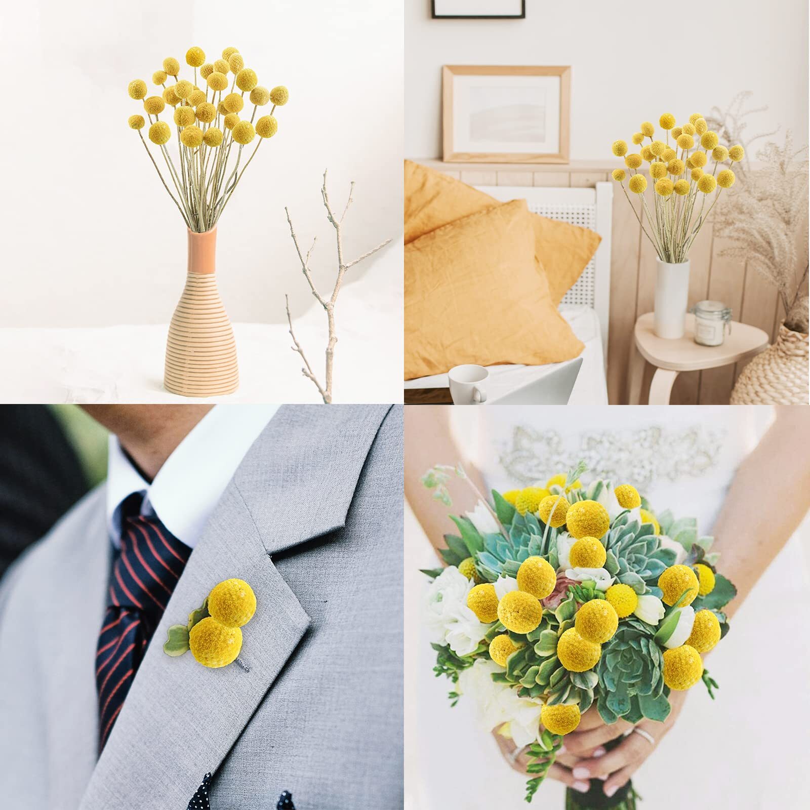 Uieke 30Pcs Natural Dried Flowers Craspedia Billy Balls Flowers Billy Buttons