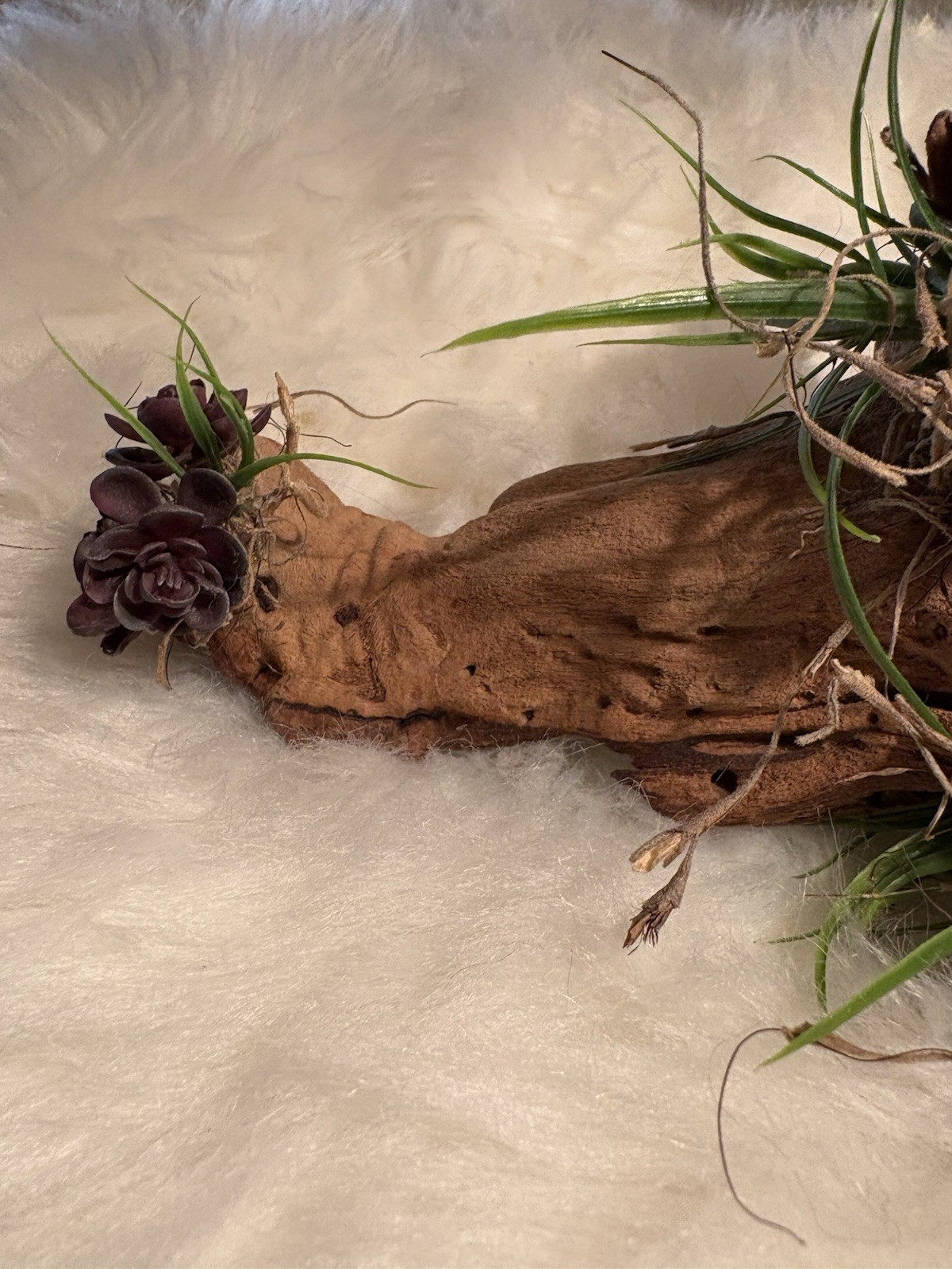 Grapewood Branch Natural Rare Piece Decorative With Colored Succulent Grass