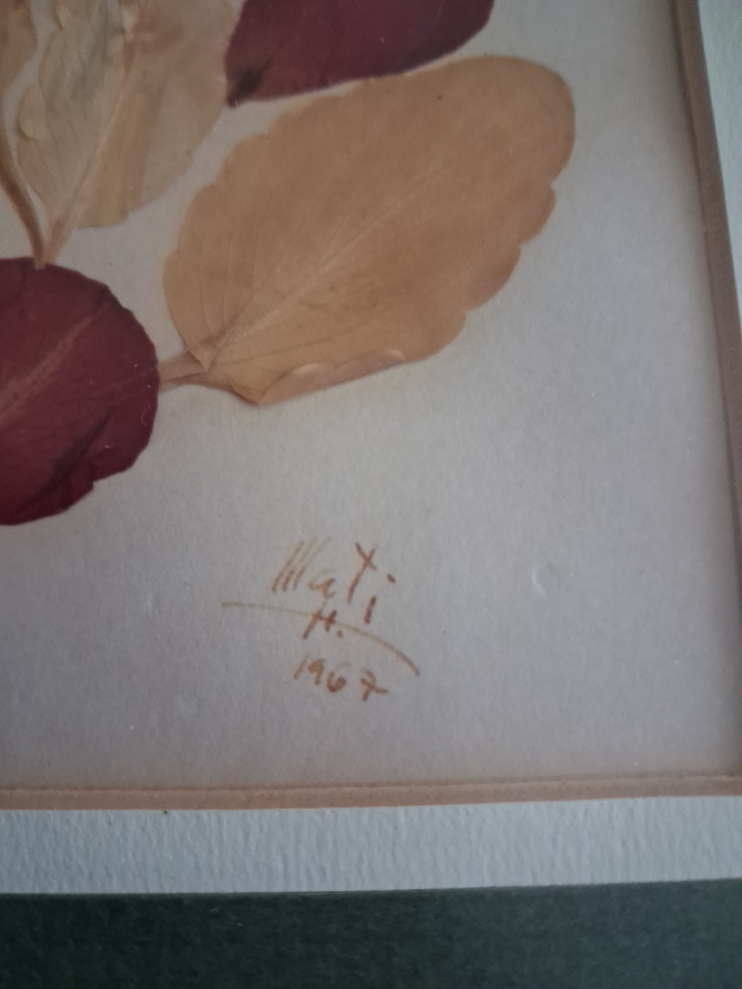 Wall Art Dried Pressed Real Flowers in Frame 21″x9″ 1967