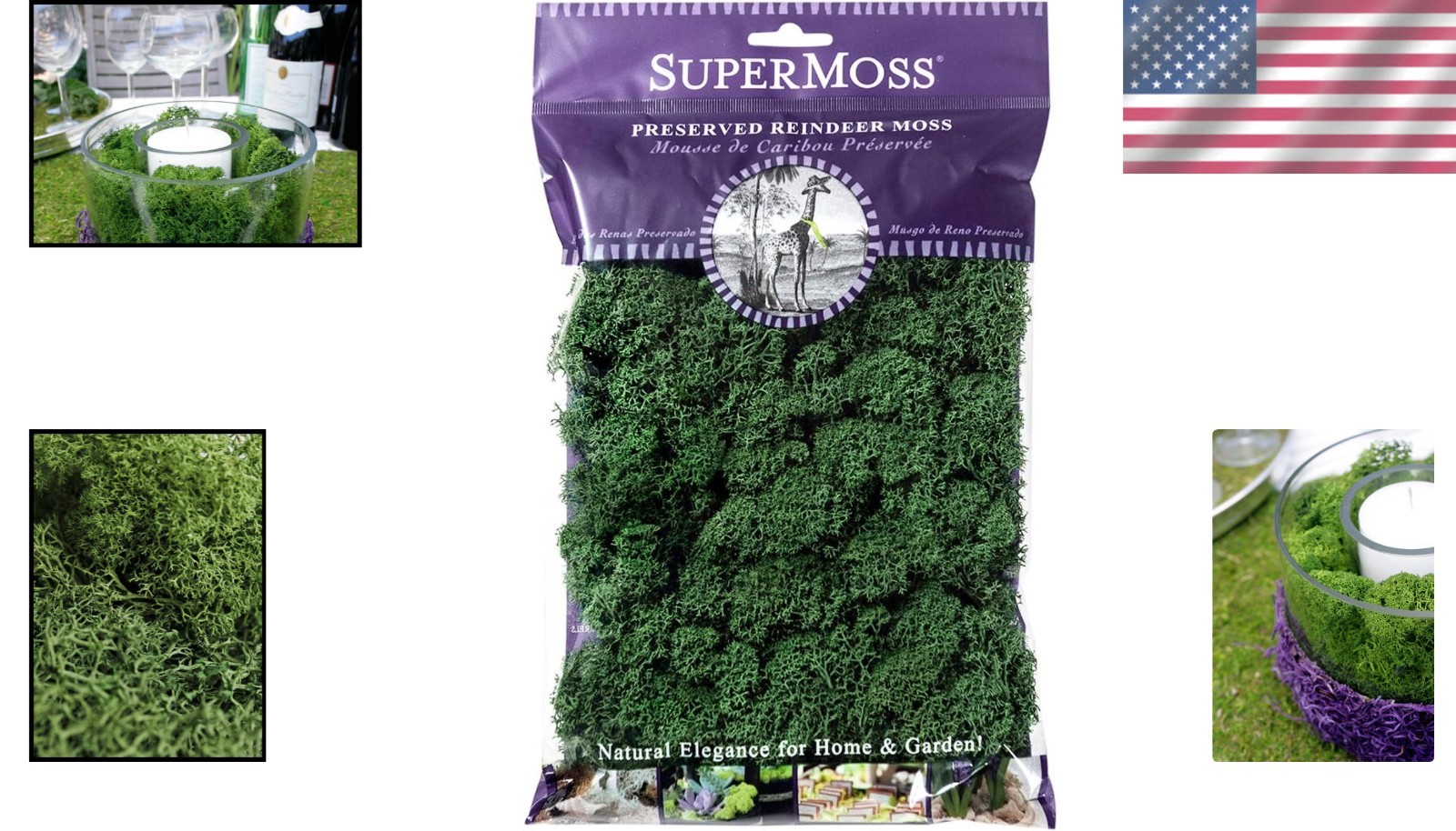 Beautifully Preserved 2oz Reindeer Moss – Forest Green for Decorating & Crafts