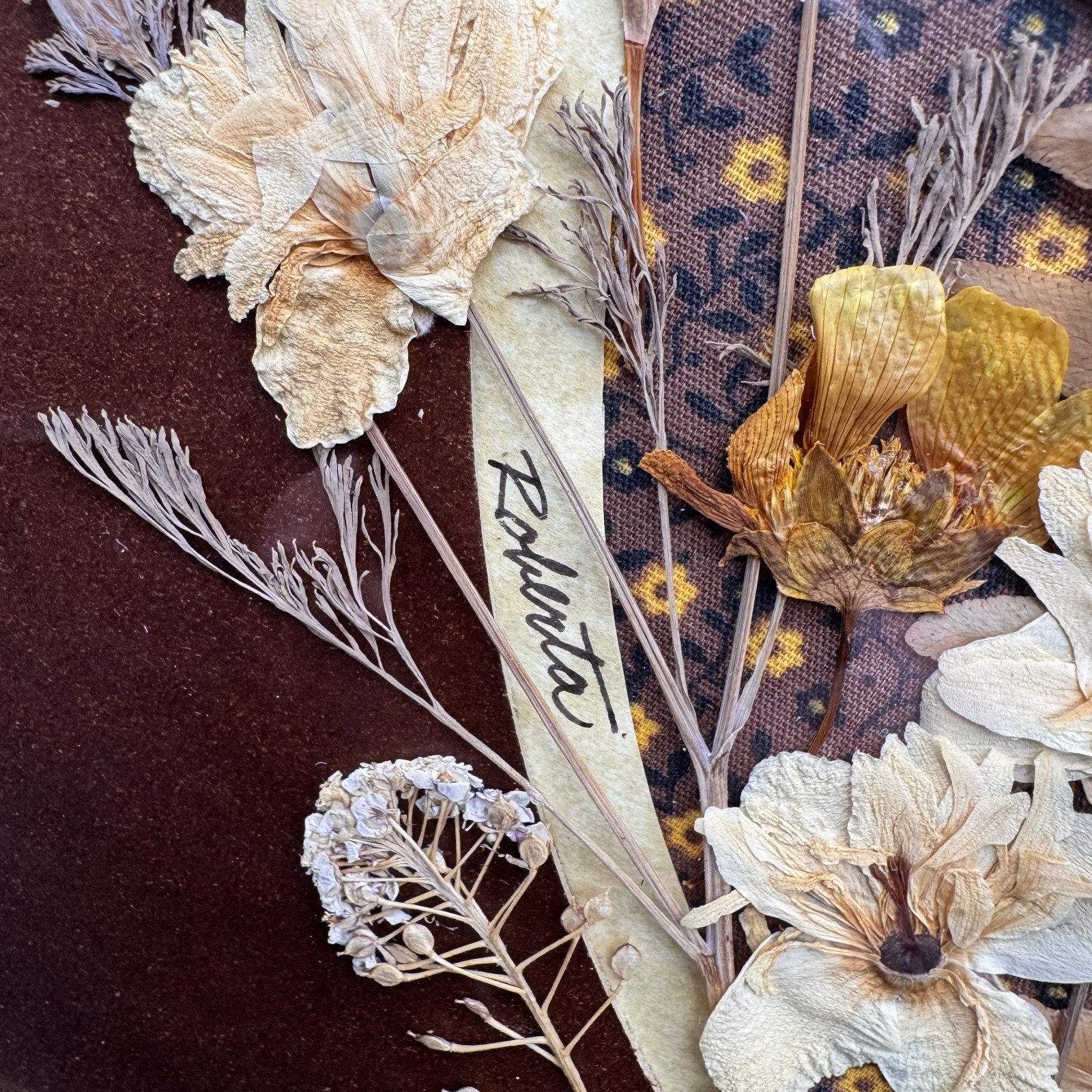 Vintage Pressed Dried Flower Art Wooded Botanical Frame Signed by Artist