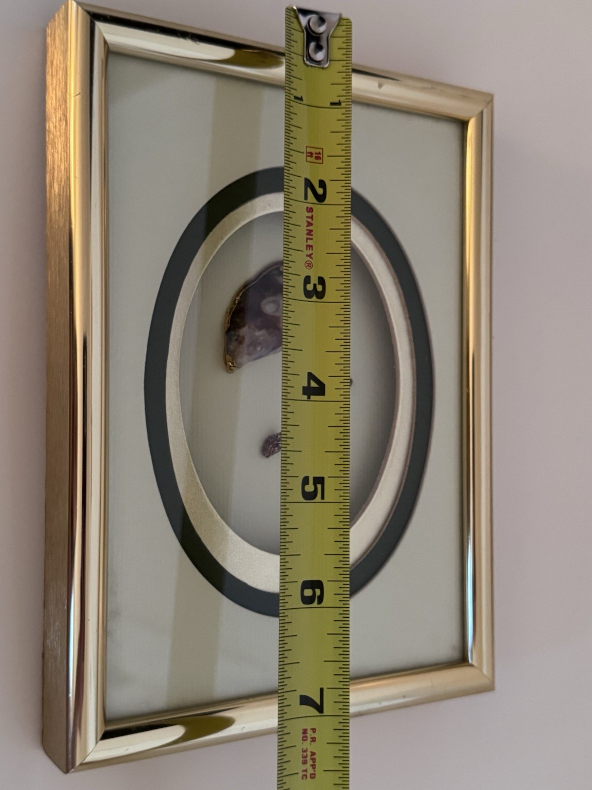 Vintage M&R Original Framed Shell Art Shadow Box Skokie IL Mid Century Coastal