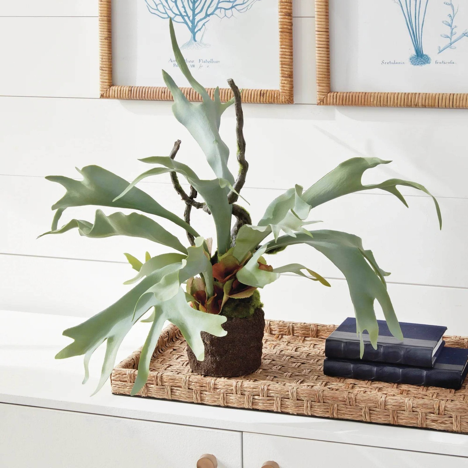 Staghorn Artificial Fern Drop-In 22″