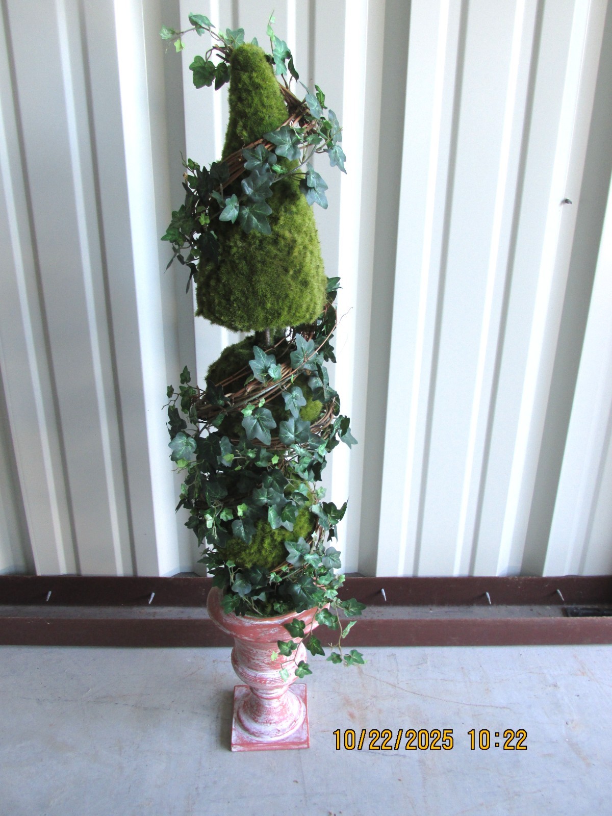 Topiary Spiral Ivy Tree Beautiful Pot 36 in tall
