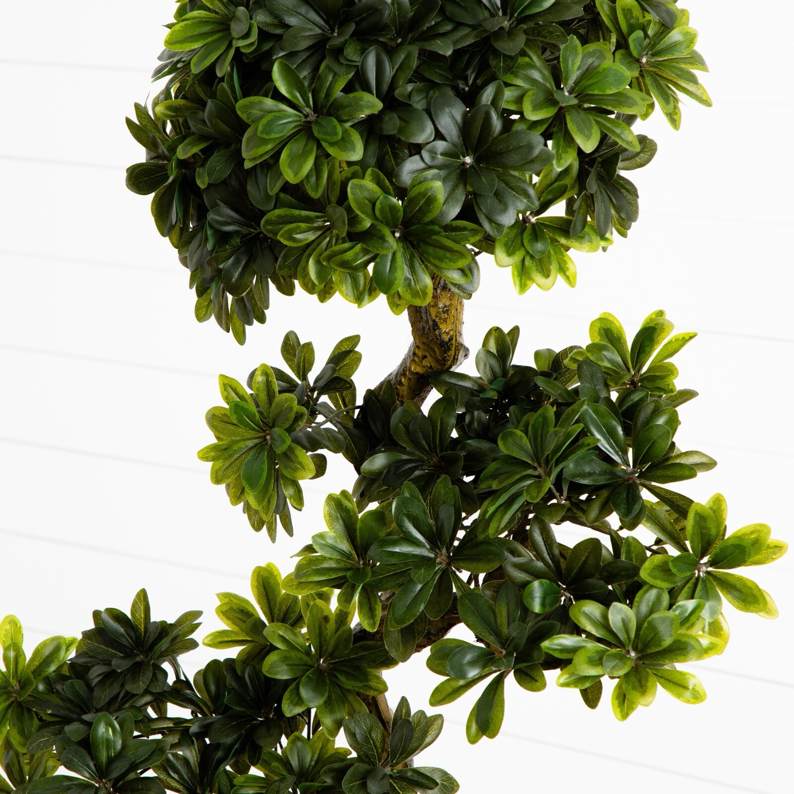 5’ Artificial Pittispourm Tree UV (Indoor/Outdoor) Home Decor. Retail $324
