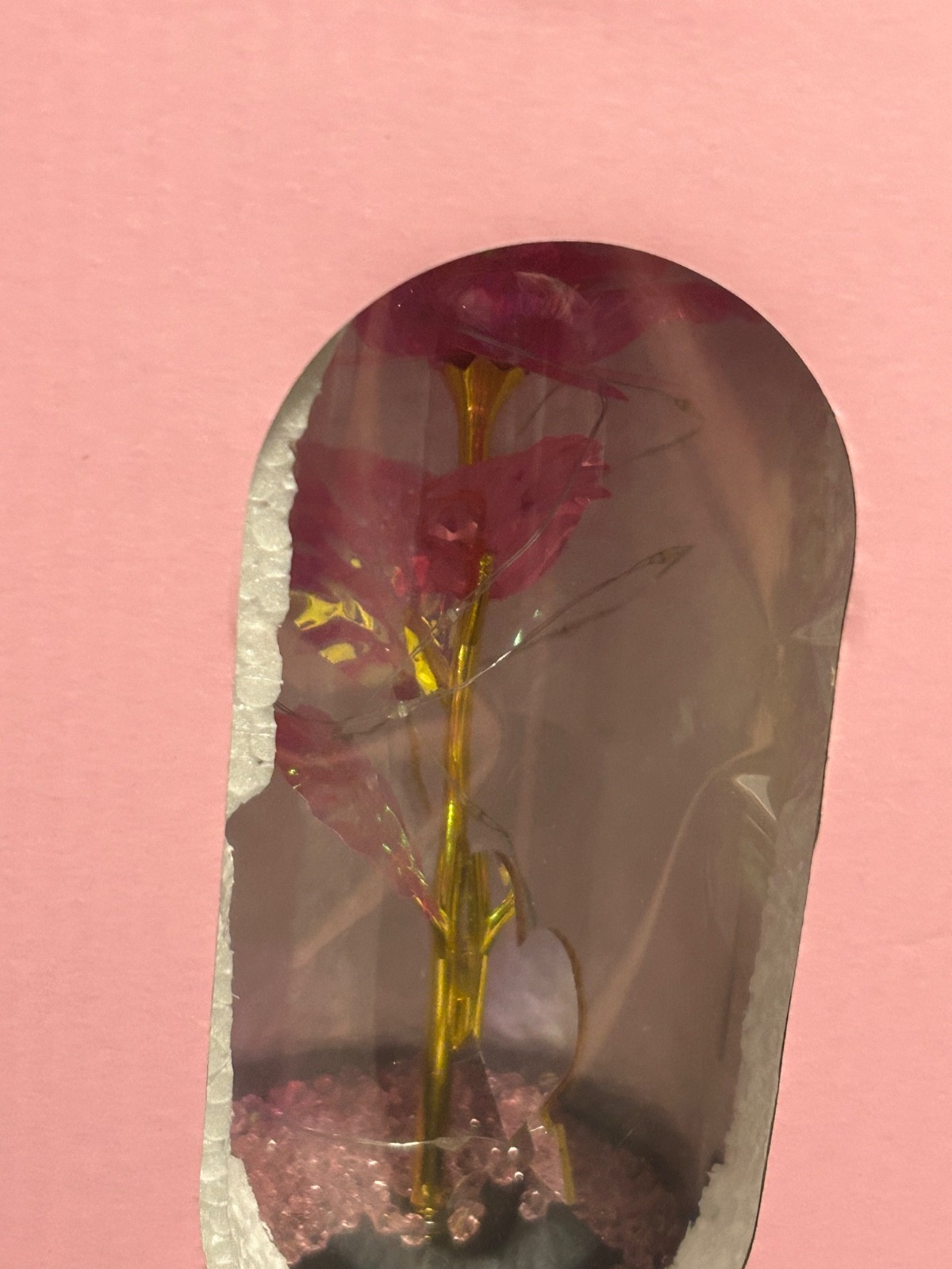 Forever Love LED Light Up Encased Rose