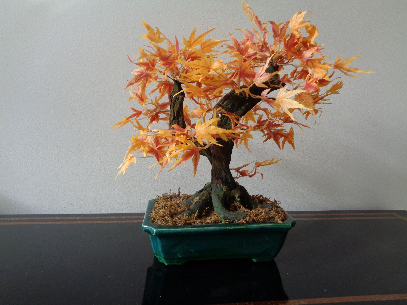 Maple Bonsai Silk Plant 16-Inch In Pot