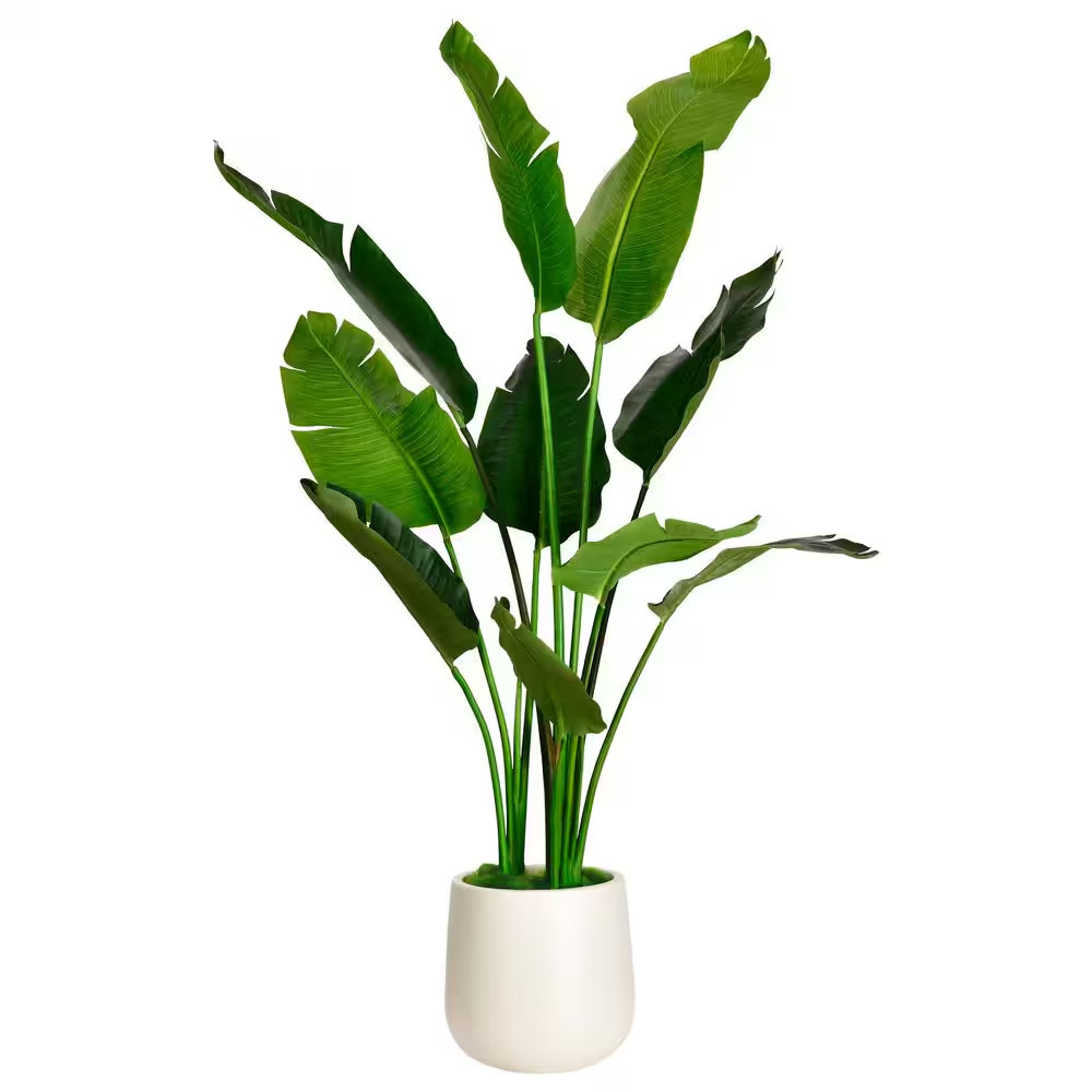 5 Ft. Artificial Banana Leaf Tree Bird of Paradise in White Decor Pot, Faux Gree