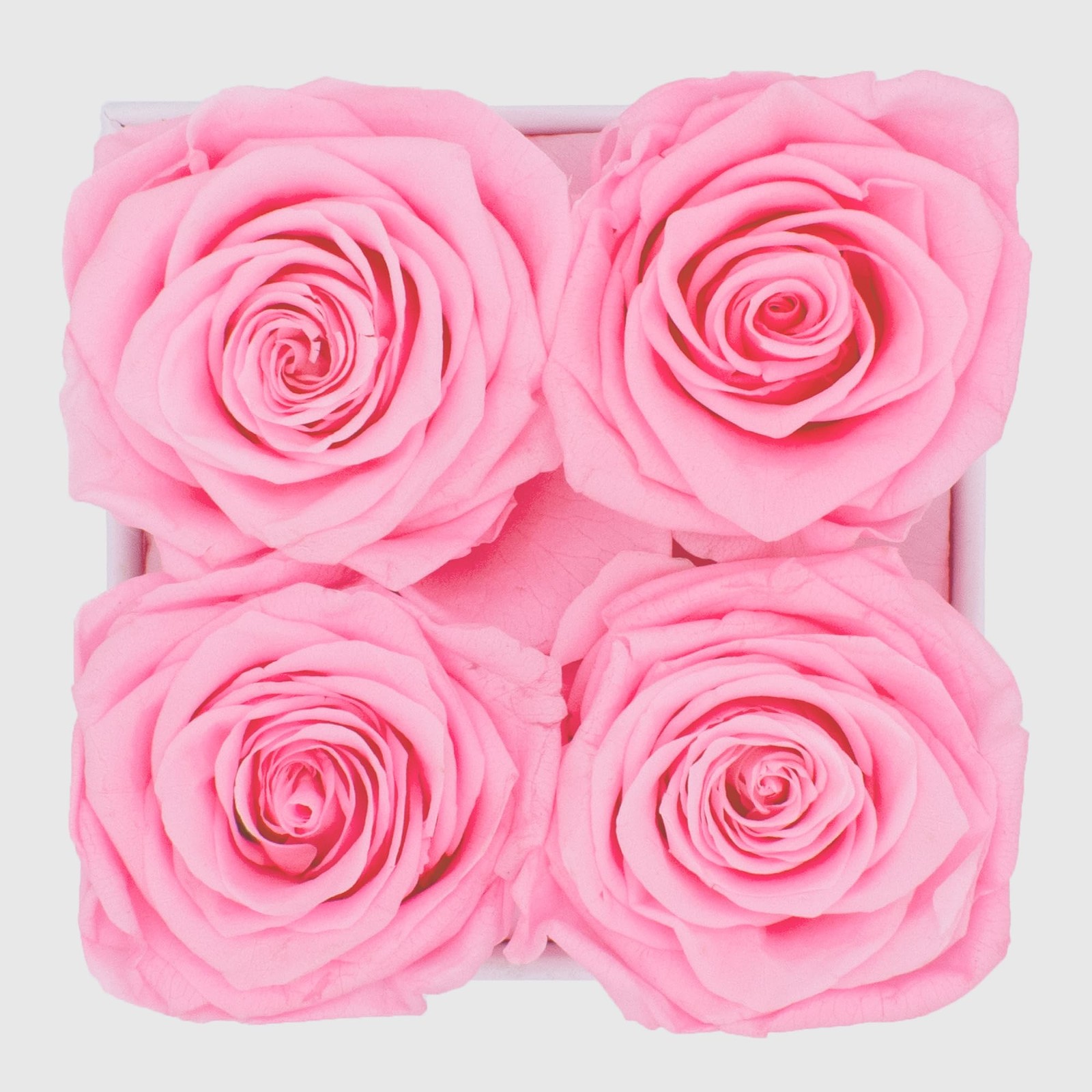 Graceful Fleurs Real Long Lasting Roses in a Box for Years, Preserved Fresh