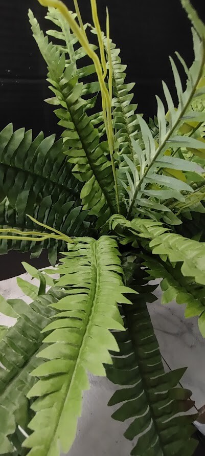Artificial Boston Fern Silk Flower Arrangements pbf209-GR
