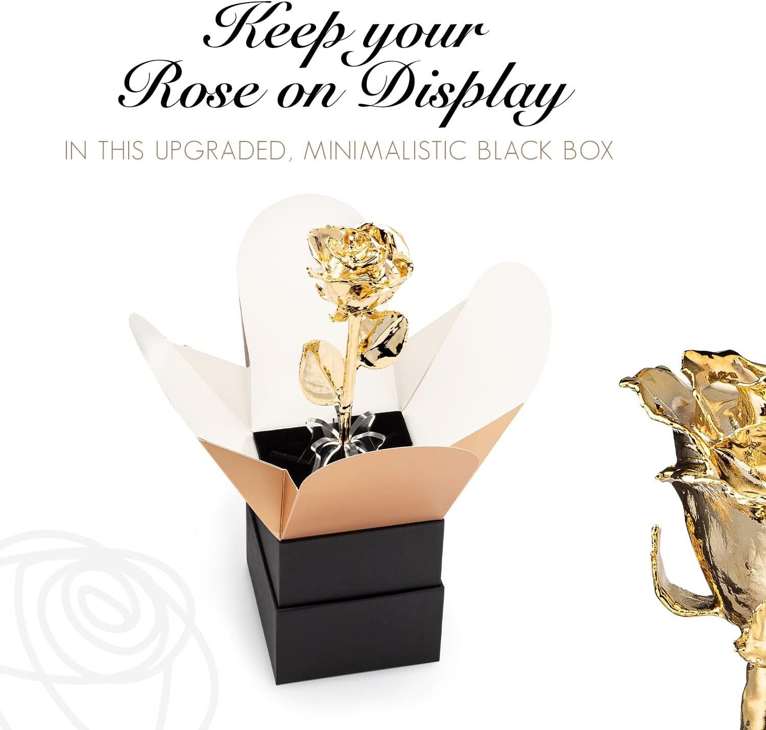 Bloom Box Bundle | a Genuine, One of a Kind Hand Dipped Gold Rose with Beautiful