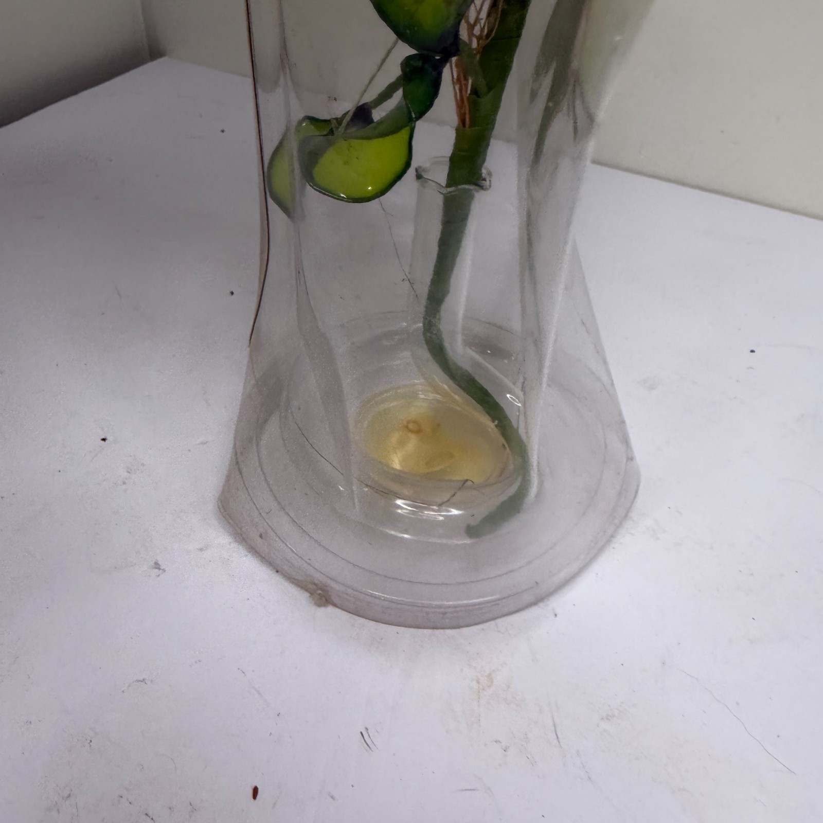 Vintage Crystalline Rose Eterna Handmade Glass Dome Taiwan Floral Display Decor