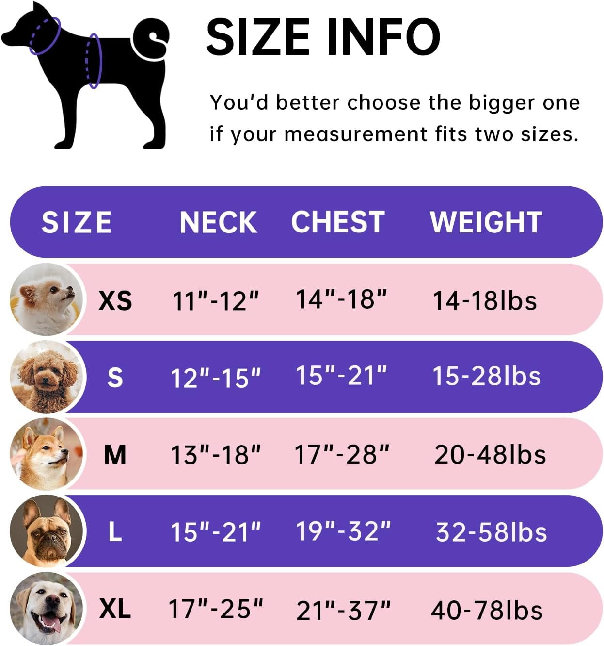 IVY&LANE No Pull Dog Harness for Medium Dogs, Dog Vest Harness with Leash, Safet
