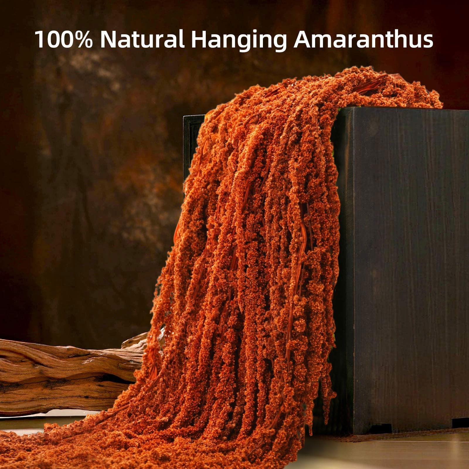 5Pcs Dried Amaranthus Hanging Flowers, Natural Preserved Flower for Wedding A…