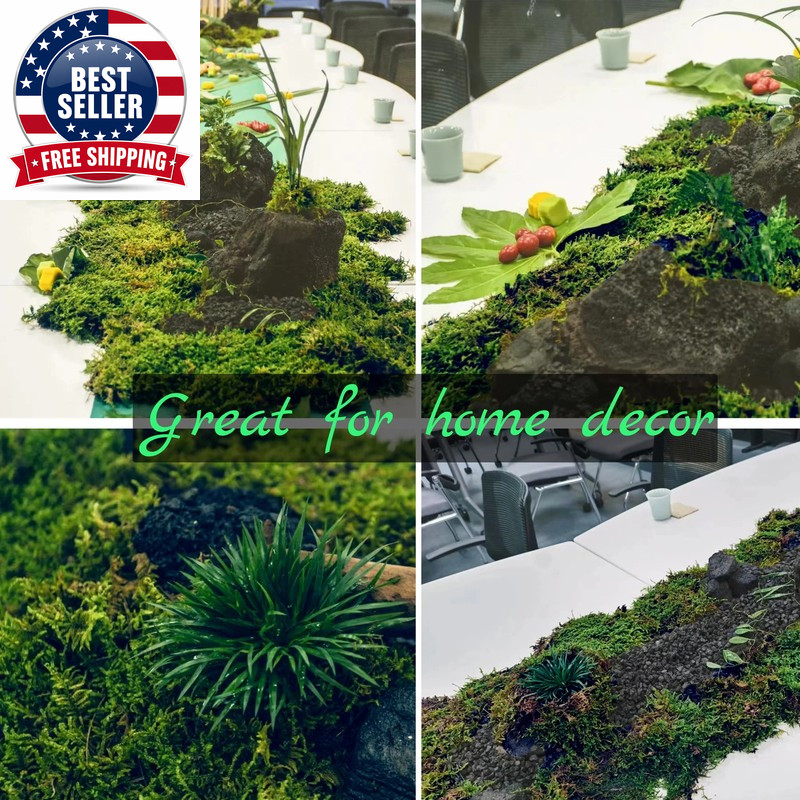 Artificial Moss Green for Potted Plant Orchid Potting Mix Peat Moss Pole Craft
