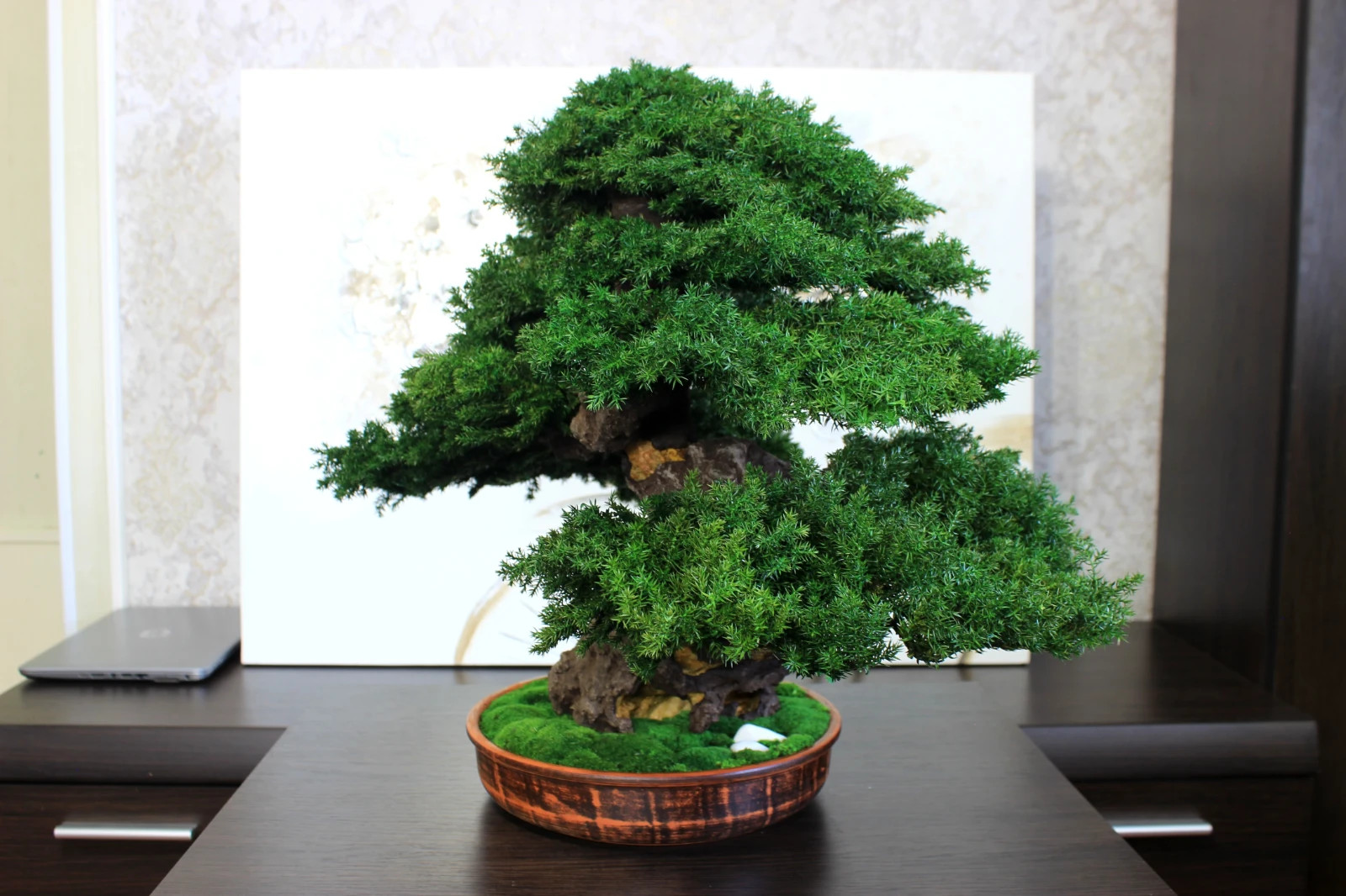 Artistic Preserved Bonsai Tree – Handmade Juniper Decor Sculpture. 49 cm / 19.3″