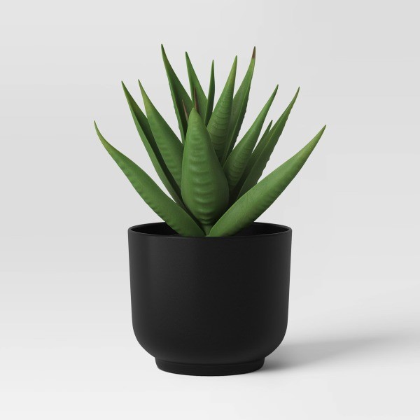 Succulent Artificial in Black Pot