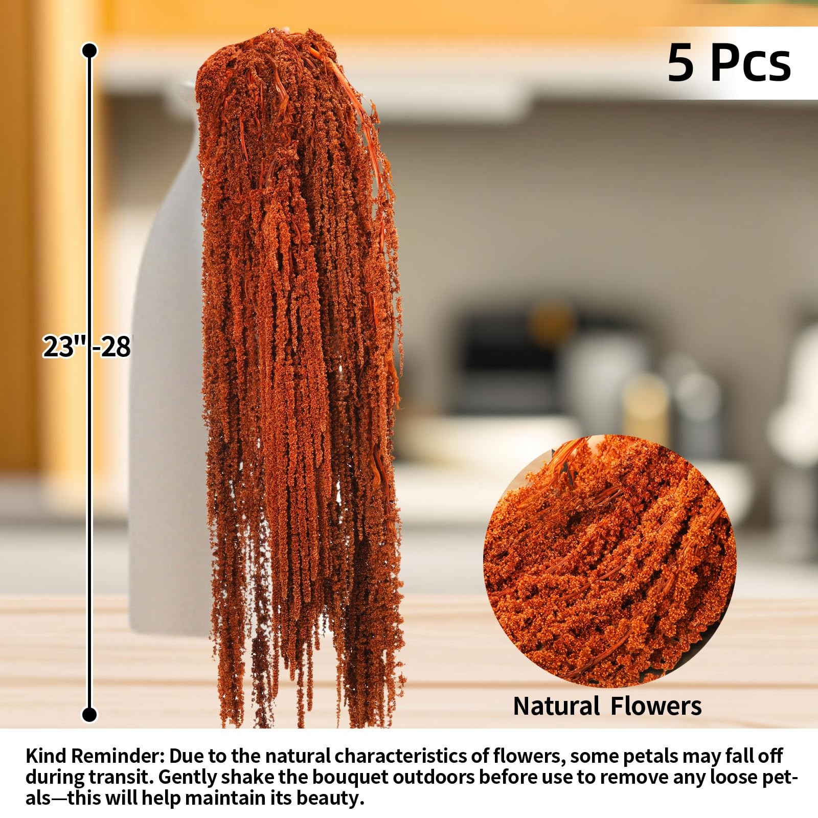 5Pcs Dried Amaranthus Hanging Flowers, Natural Preserved Flower for Wedding A…