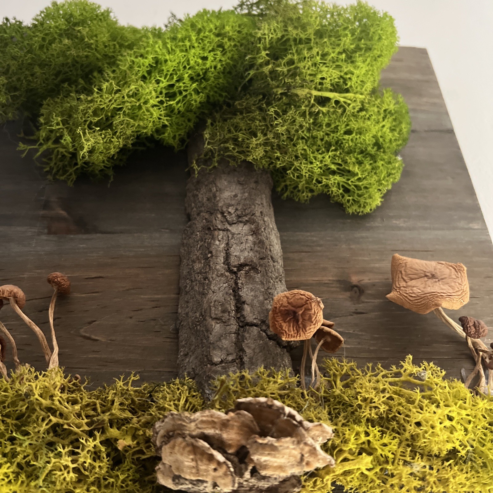 Natural Moss Handmade Art – Wood Wall Plaque Hanging Decor Real Dried Mushrooms